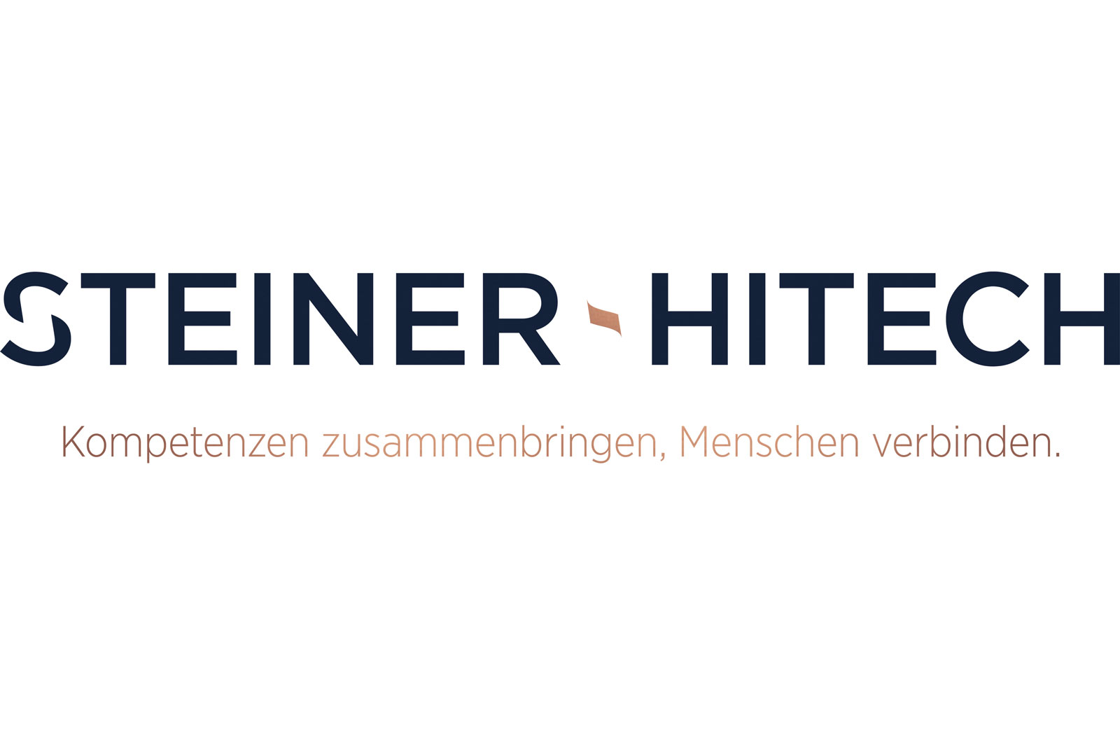 Steiner Hitech Branding Logo 1