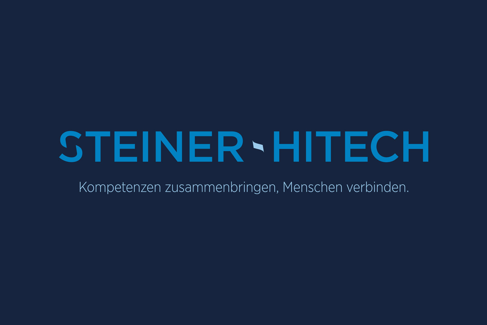 Steiner Hitech Branding Logo 2